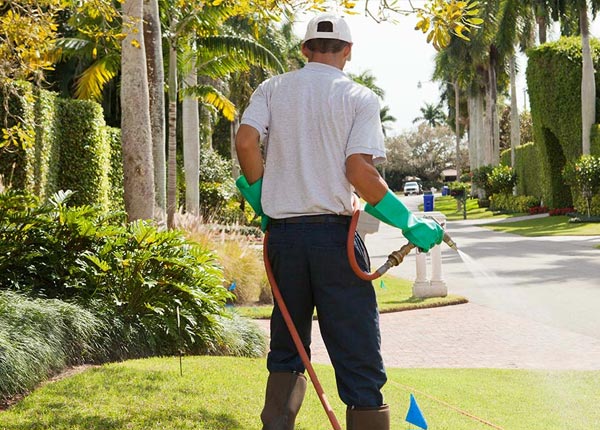 About Plymouth IA Pest Control